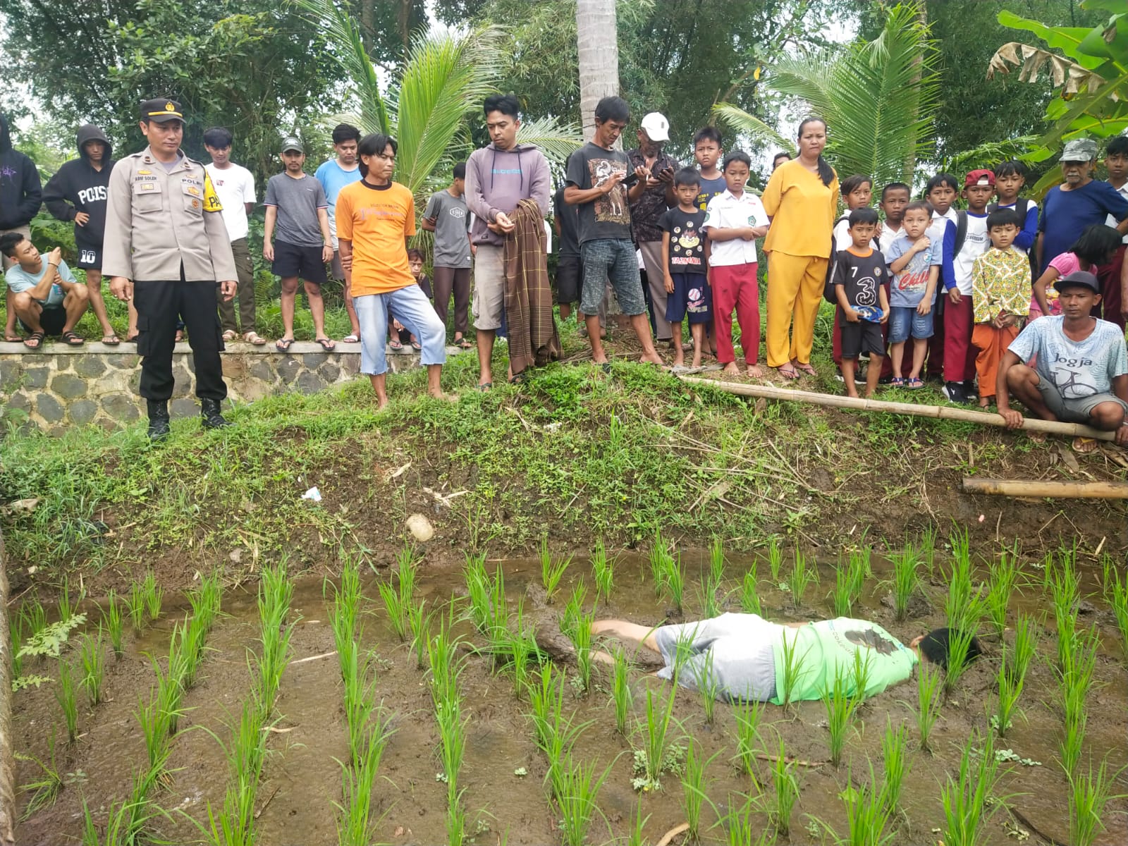 Seorang Pemuda Ditemukan Meninggal Dunia Di Petakan Sawah, Polres Tasikmalaya Kota Lakukan Olah TKP