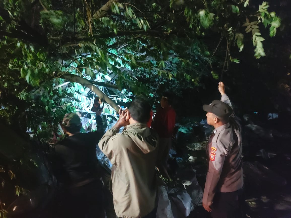 Bantu Evakuasi Pohon Tumbang, Personel Polsek Indihiang Bersinergi Dengan BPBD Kota Tasikmalaya Dan Warga