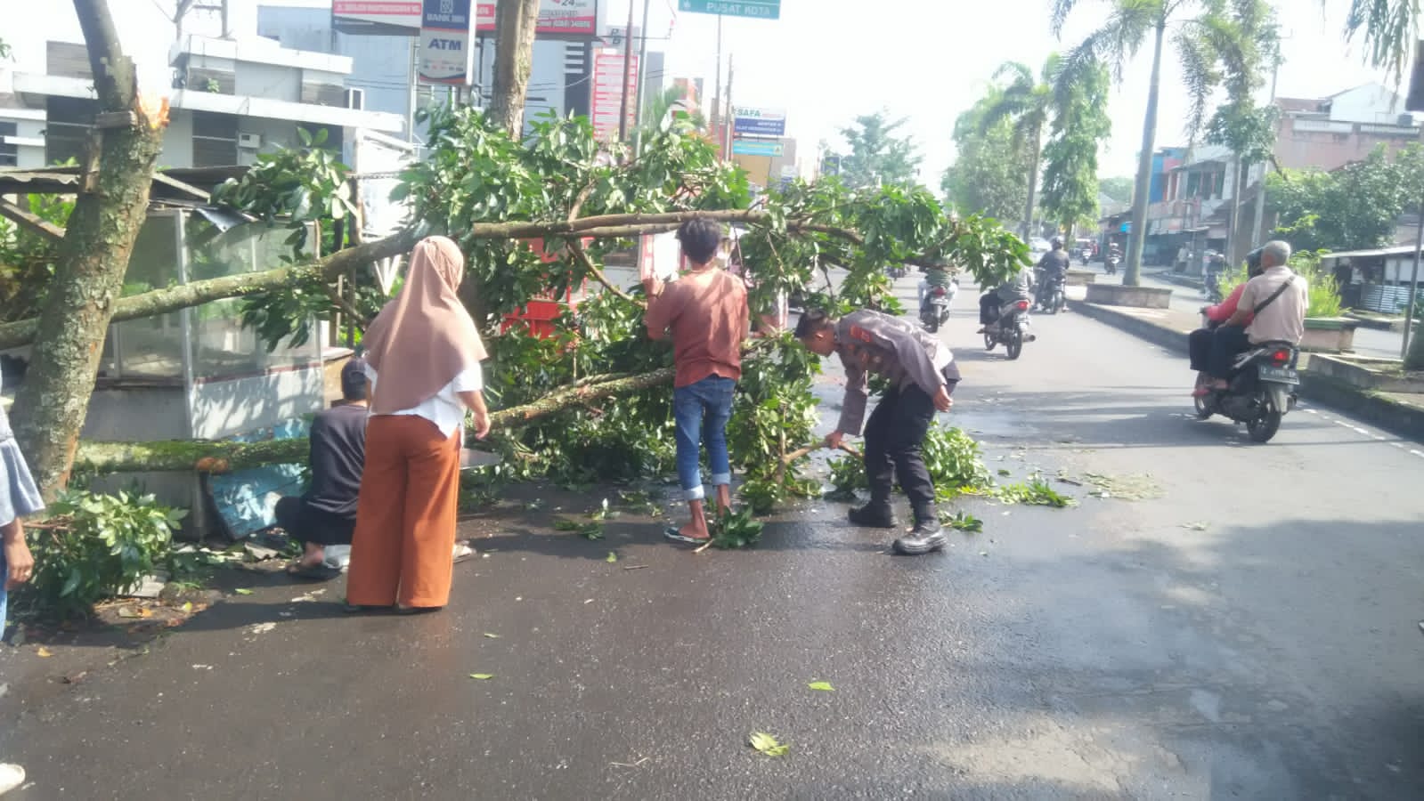 Dahan Pohon Tumbang Warga Dibantu Polisi Melakukan Evakuasi
