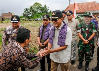 Luar Biasa, Petani di Lumbung Bisa Panen Meski Musim Kemarau