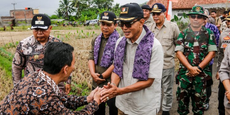 Luar Biasa, Petani di Lumbung Bisa Panen Meski Musim Kemarau