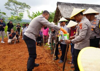 Dalam Gelar Program Ketahanan Pangan, Kapolresta, Tanam Palawija  di Kecamatan Gunung Tanjung