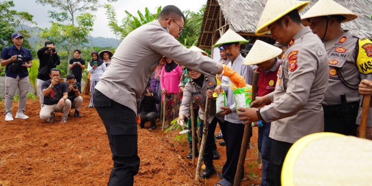 Dalam Gelar Program Ketahanan Pangan, Kapolresta, Tanam Palawija  di Kecamatan Gunung Tanjung
