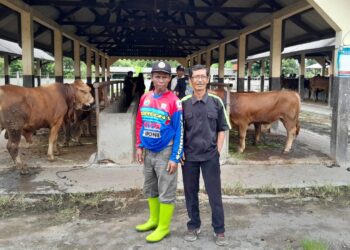 Pasar Hewan Manonjaya Tasikmalaya Kembali Dibuka Pasca Penutupan Akibat PMK