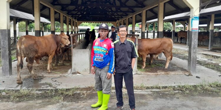 Pasar Hewan Manonjaya Tasikmalaya Kembali Dibuka Pasca Penutupan Akibat PMK