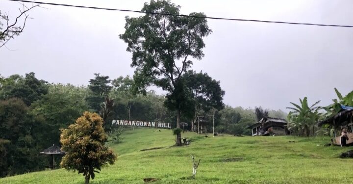 Surga Tersembunyi di Tasikmalaya: Menikmati Keindahan Bukit Pangangonan Hill