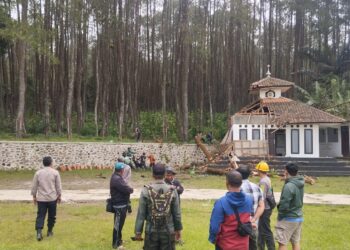 Pohon Besar Tumbang Timpa Musala di Cisayong Tasikmalaya, Kapolsek Turun Tangan Pimpin Evakuasi