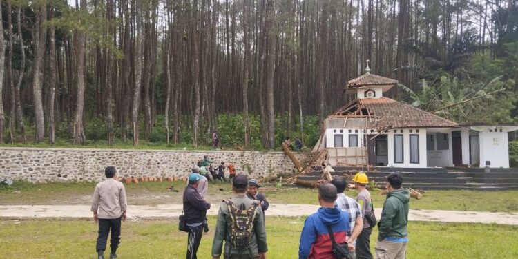 Pohon Besar Tumbang Timpa Musala di Cisayong Tasikmalaya, Kapolsek Turun Tangan Pimpin Evakuasi