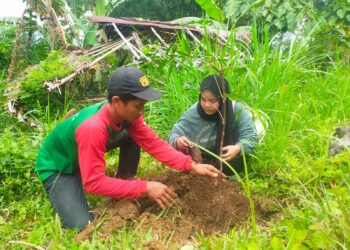 KKNT UNIK Cipasung Mandalahurip, Ajak Masyarakat  Melaksanakan Penanaman Pohon
