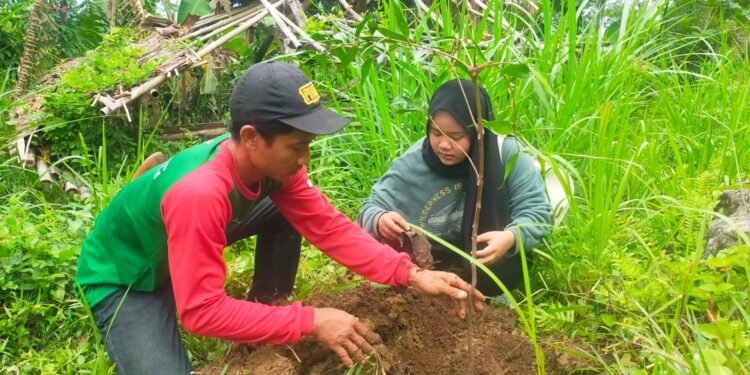 KKNT UNIK Cipasung Mandalahurip, Ajak Masyarakat  Melaksanakan Penanaman Pohon