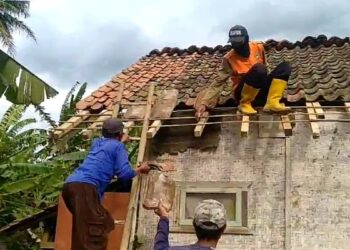 Angin Kencang Terjang Tasikmalaya, Pohon Tumbang Timpa Rumah Warga