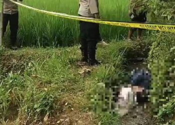 Pengepul Ayam Ditemukan Tewas di Selokan, Warga Kampung Sayuran Manonjaya Gempar
