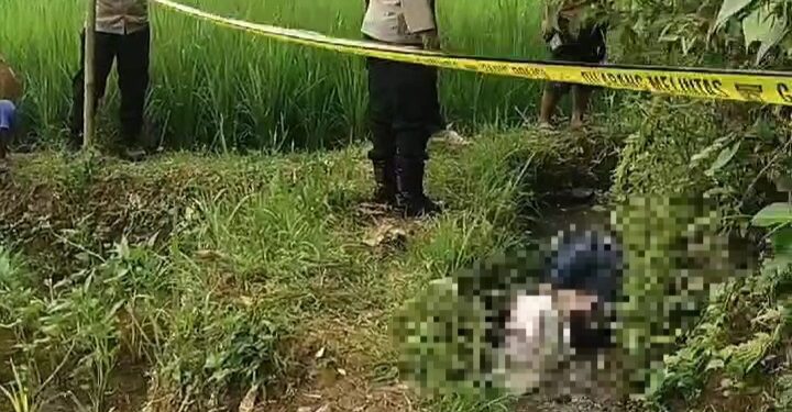 Pengepul Ayam Ditemukan Tewas di Selokan, Warga Kampung Sayuran Manonjaya Gempar