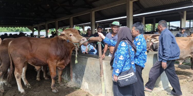 Nasib Situasi Pasar Hewan Tasikmalaya Sepekan Menjelang Idul Adha